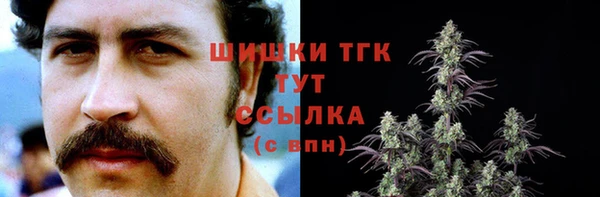 молекула духа Заводоуковск