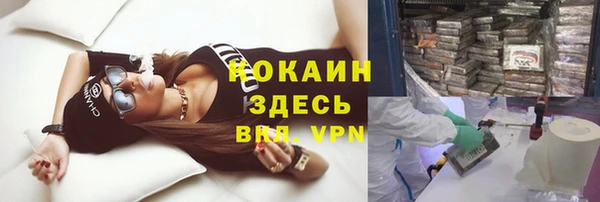 молекула духа Заводоуковск