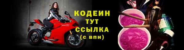 молекула духа Заводоуковск
